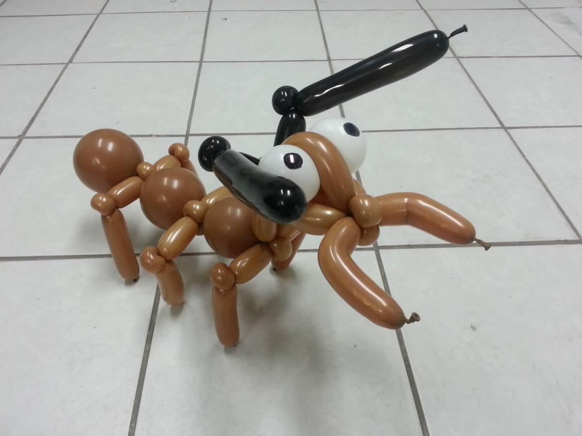 Balloon Ant