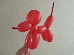 Balloon Dog